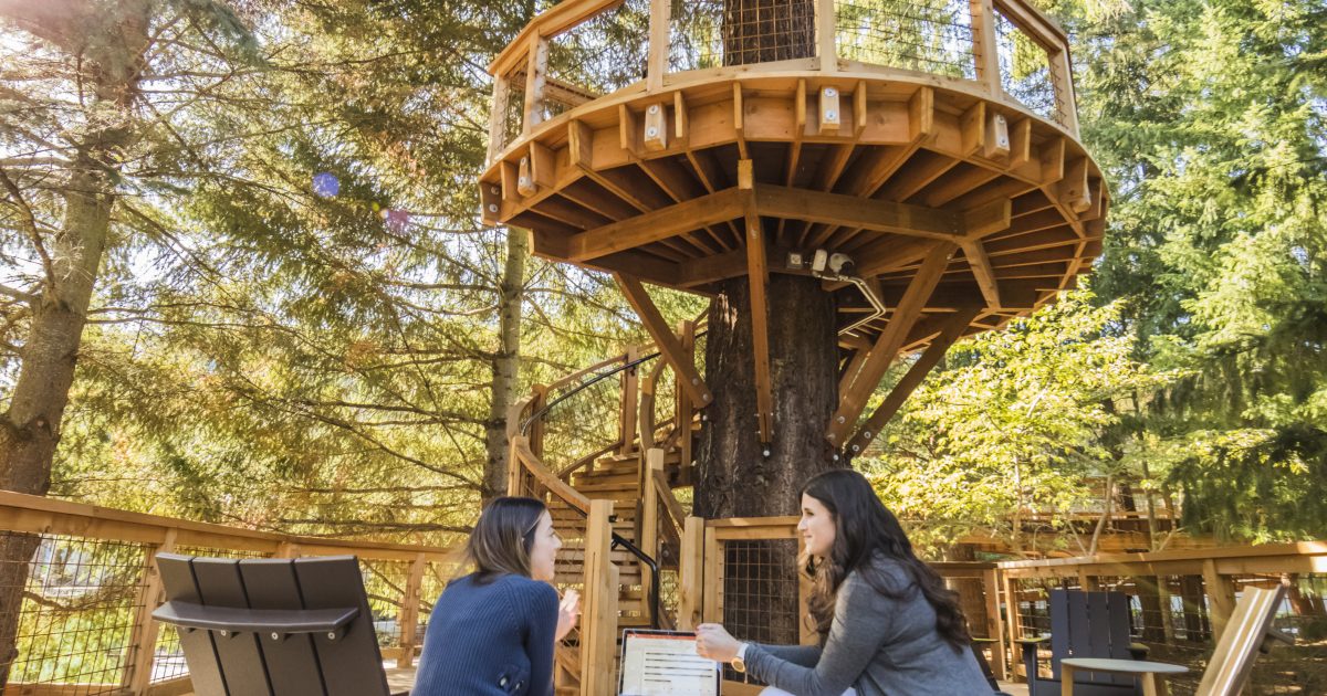 Microsoft. La tecnológica construyó "casitas del árbol" en uno de sus campus.