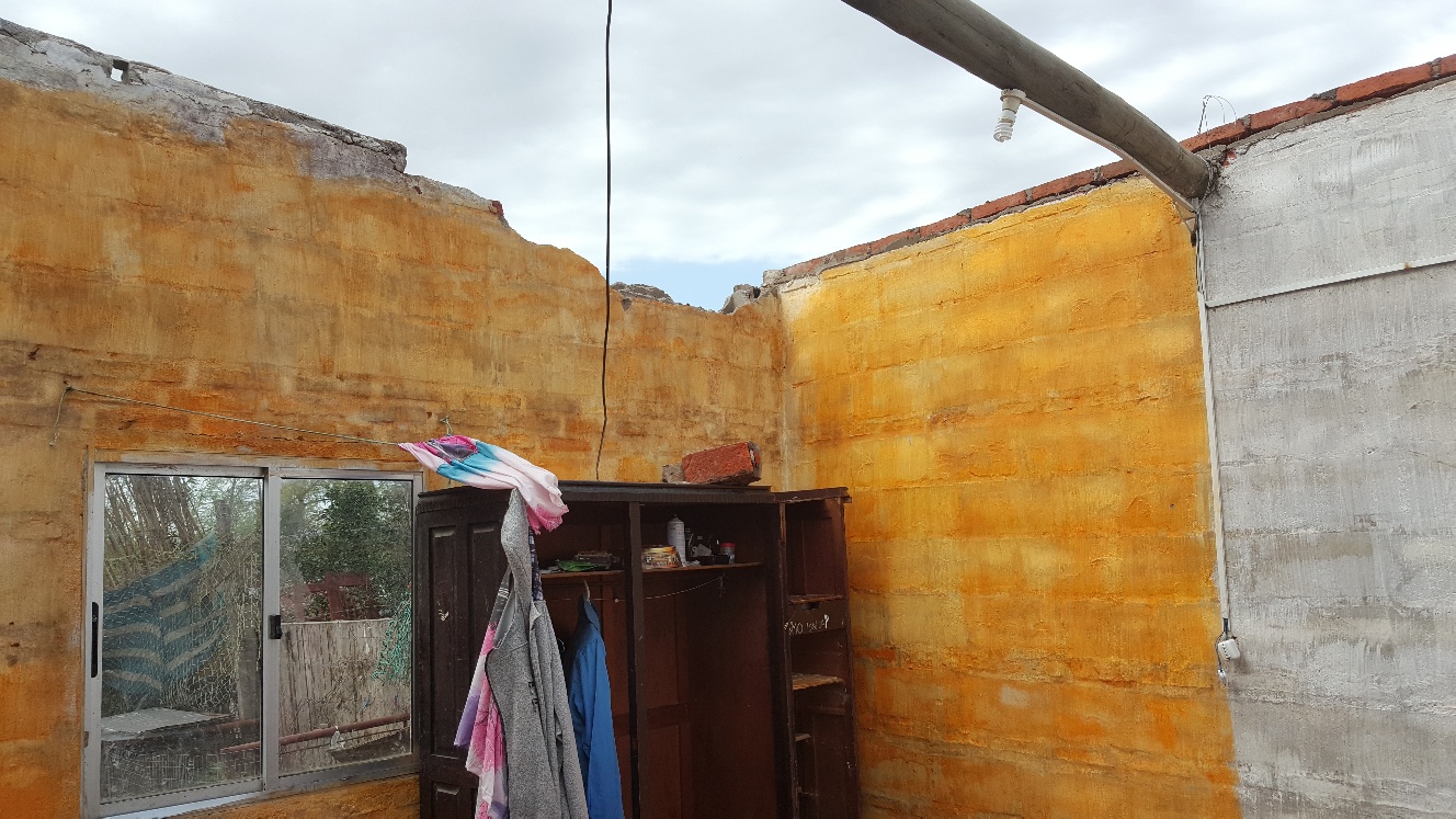 El temporal dejó varios árboles caídos y voladura de techos. Foto: Daniel Rojas