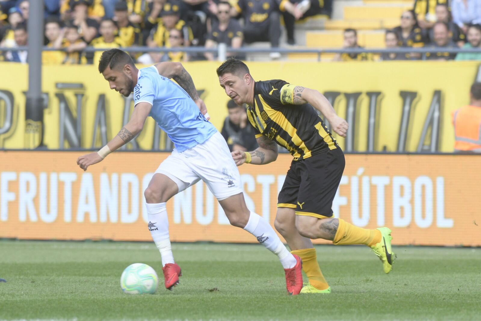 Foto: Marcelo Bonjour.