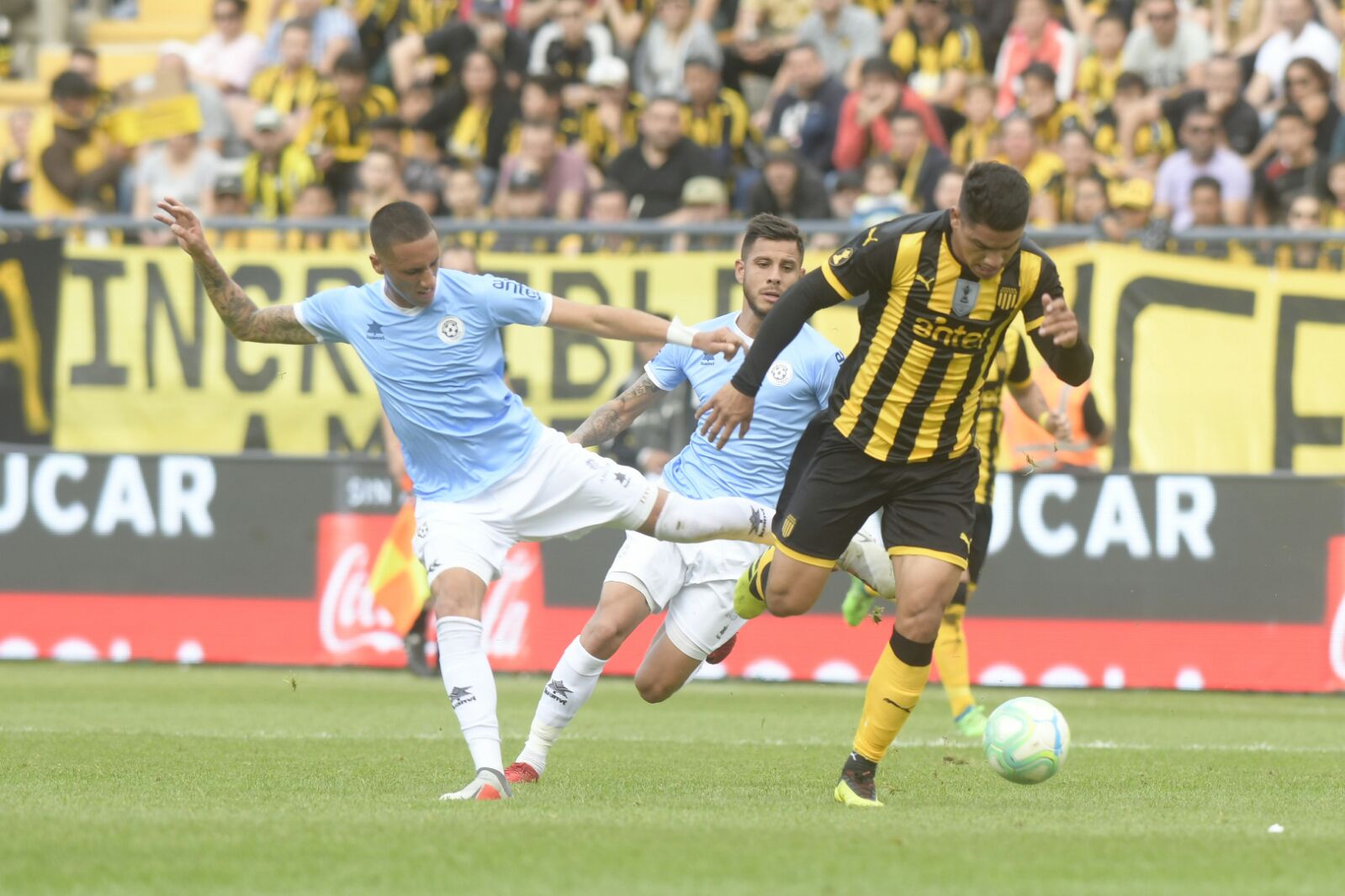 Foto: Marcelo Bonjour.