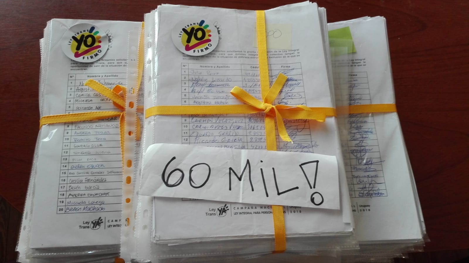 Organizaciones que impulsan la Ley Trans presentaron más de 60.000 firmas para impulsar el proyecto. Foto: Unión Trans