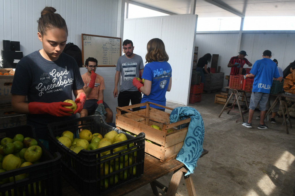 Redalco recuperó 220 toneladas de frutas y verduras en sus dos años de vida. Foto: Francisco Flores