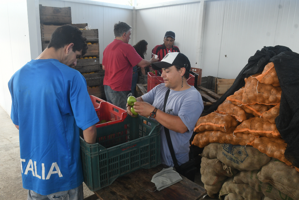 Redalco recuperó 220 toneladas de frutas y verduras en sus dos años de vida. Foto: Francisco Flores