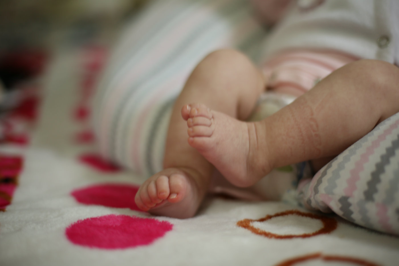 Bebés Arcoiris. Foto: Faustina Bartaburu