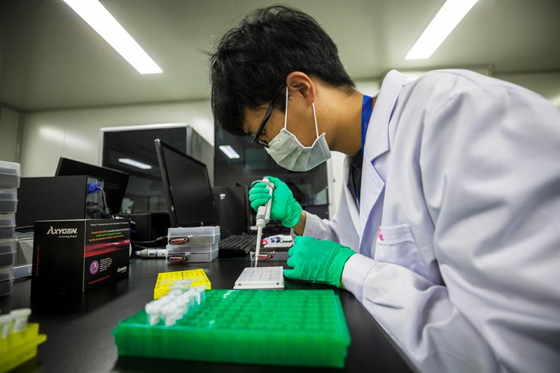 Laboratorios de manipulación genética en China están en la mira académica mundial. Foto: EFE