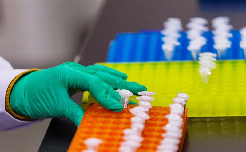 Laboratorios de manipulación genética en China están en la mira académica mundial. Foto: EFE