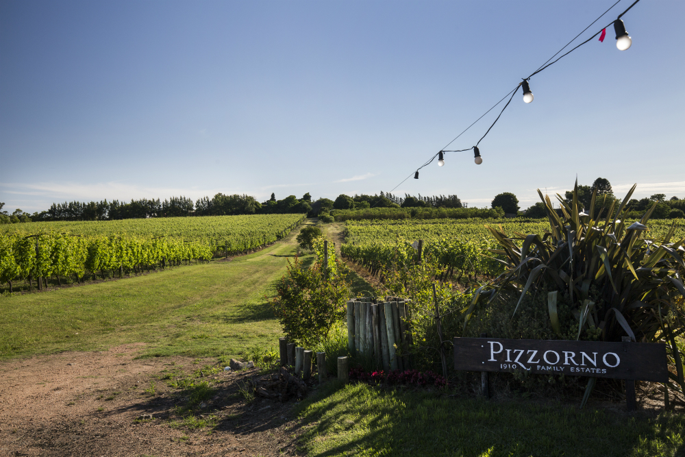 A solo 23 km de Montevideo, la bodega ofrece una propuesta con degustación, boutique de vinos y restaurante, a los que se suma ahora un alojamiento exclusivo
