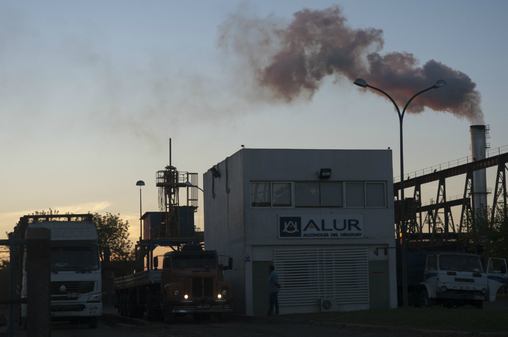 Alur en Bella Unión. Foto: Fernando Ponzetto.