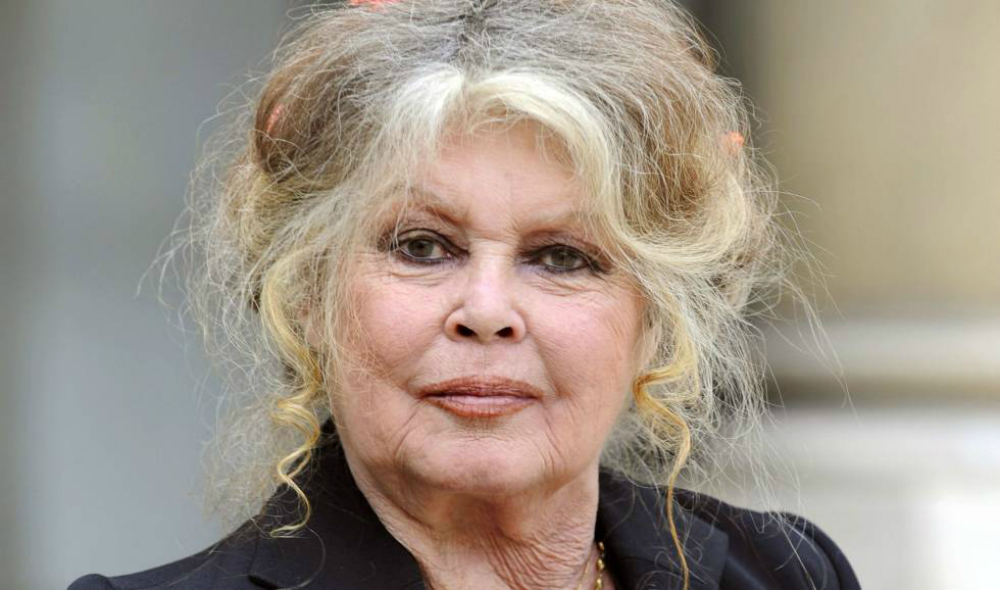 Brigitte Bardot salió en defensa de los chalecos amarillos. Foto: AFP.
