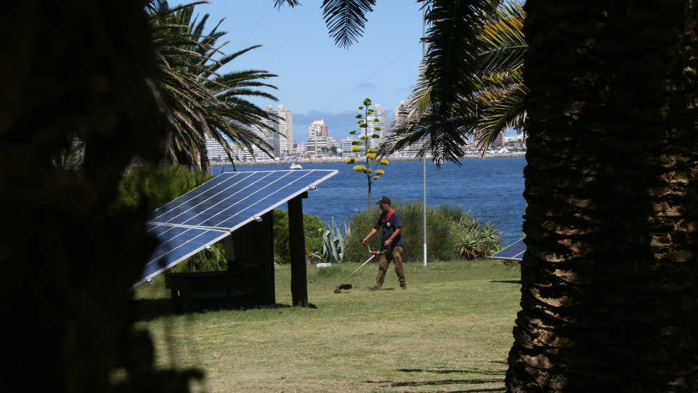 Foto: Delfina Milder