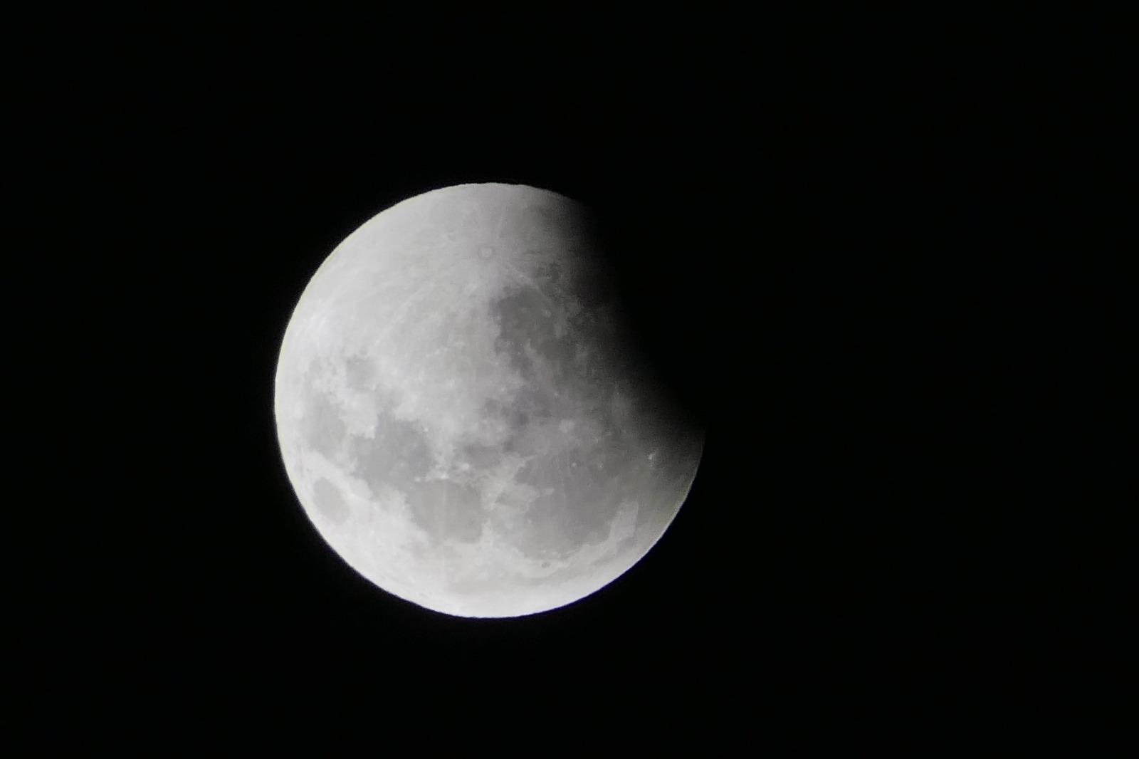 Eclipse de Luna Roja. Foto: Ricardo Figueredo