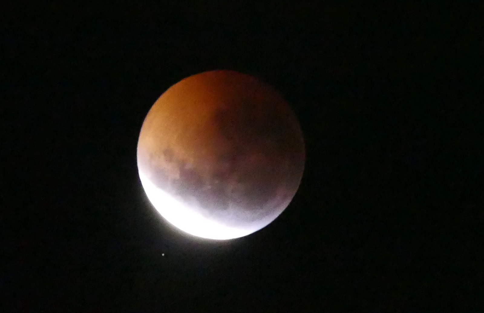 Eclipse de Luna Roja. Foto: Ricardo Figueredo