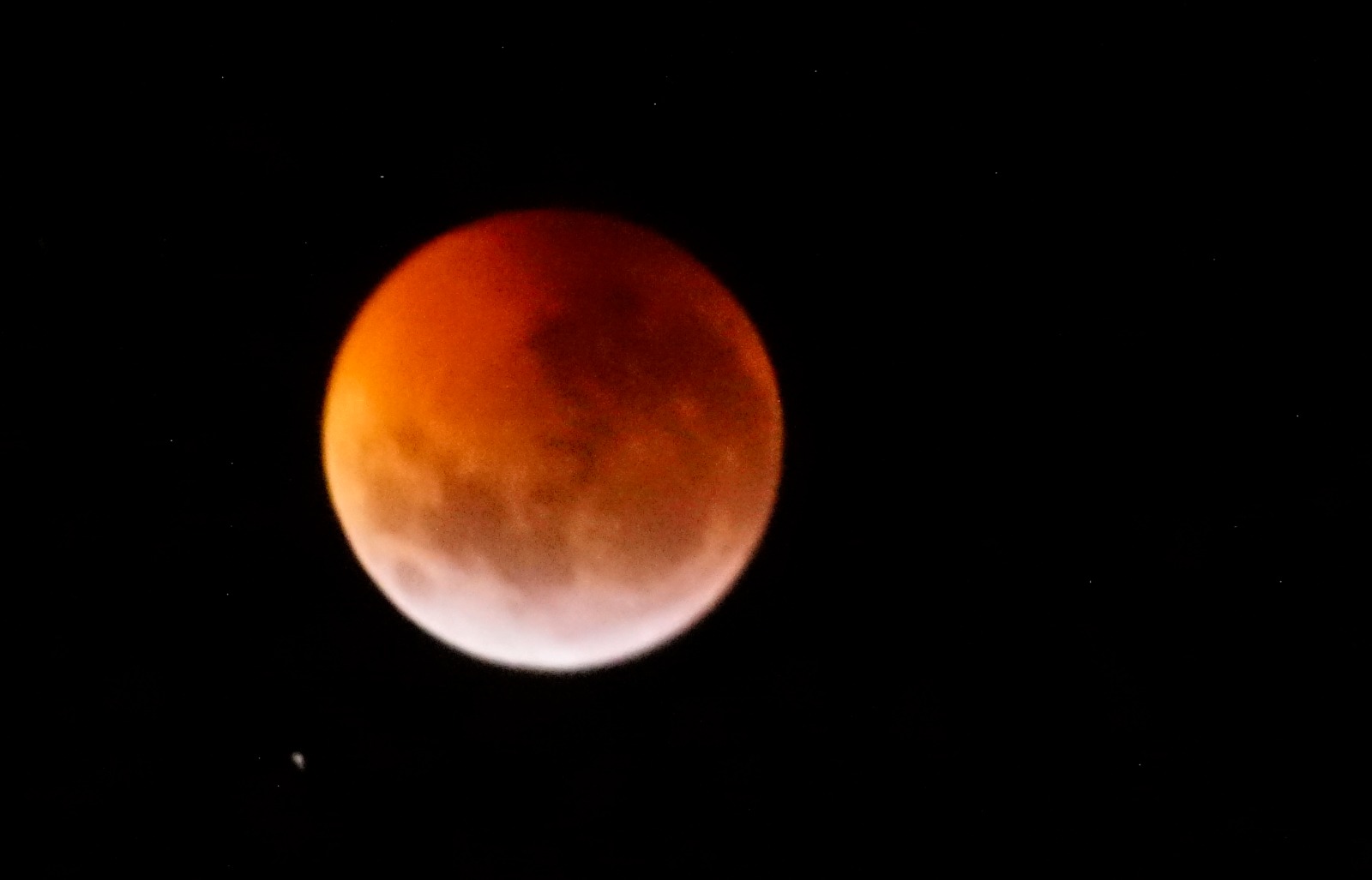 Eclipse de Luna Roja. Foto: Ricardo Figueredo