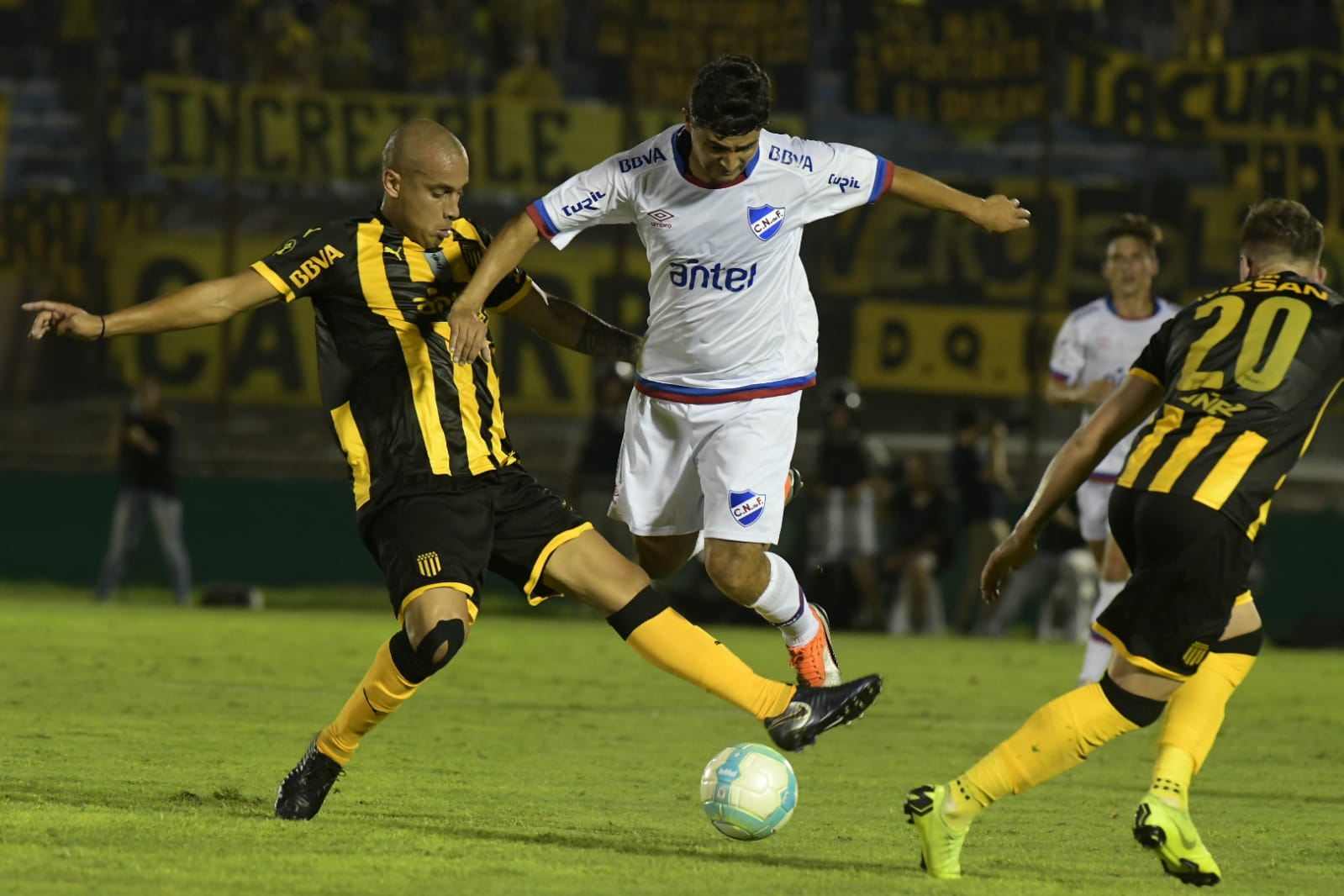 Foto: Leonardo Mainé