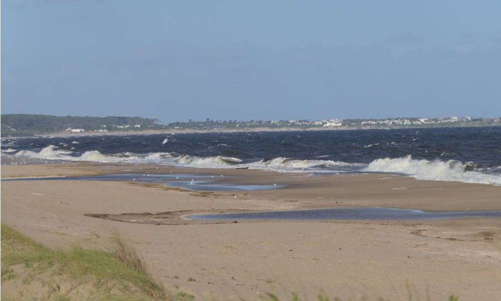 Mancha de petróleo en la costa de José Ignacio. Foto: Ricardo Figueredo