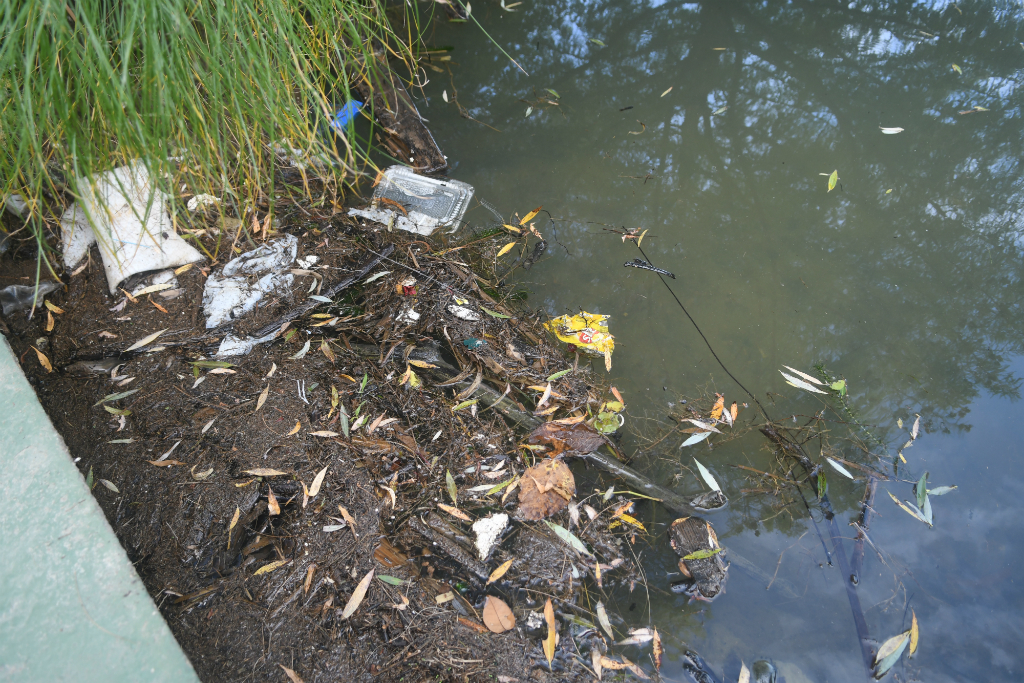 En los últimos dos meses ha aparecido basura que atribuyen al relleno que la empresa constructora está colocando. Foto: F. Flores