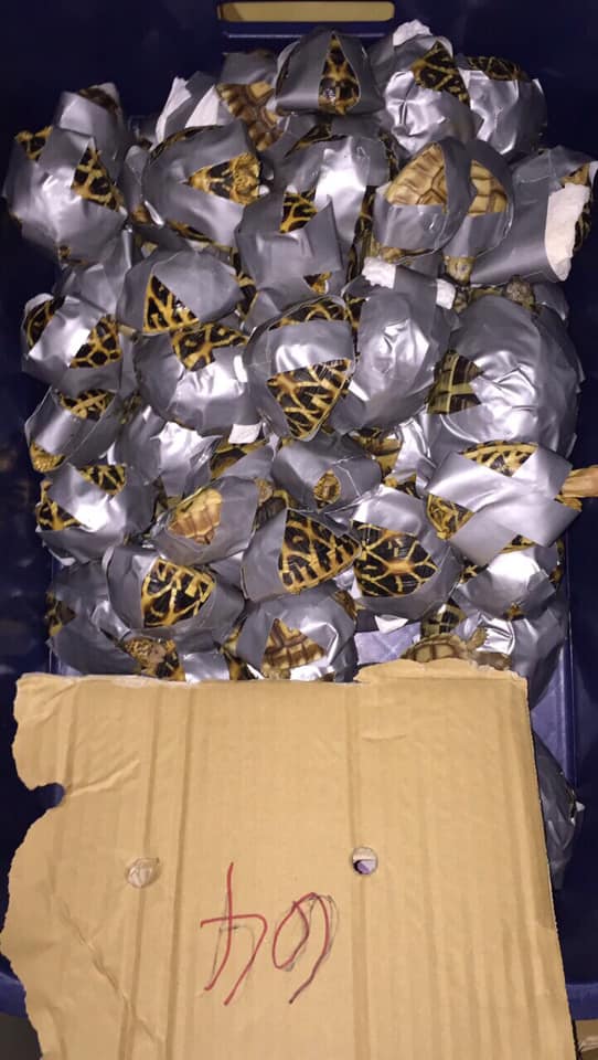 Foto: Facebook Bureau of Customs NAIA