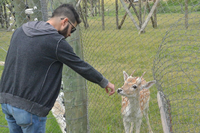 El Bioparque de Durazno tiene varios ejemplares de animales. Foto: Víctor Darwin Rodríguez