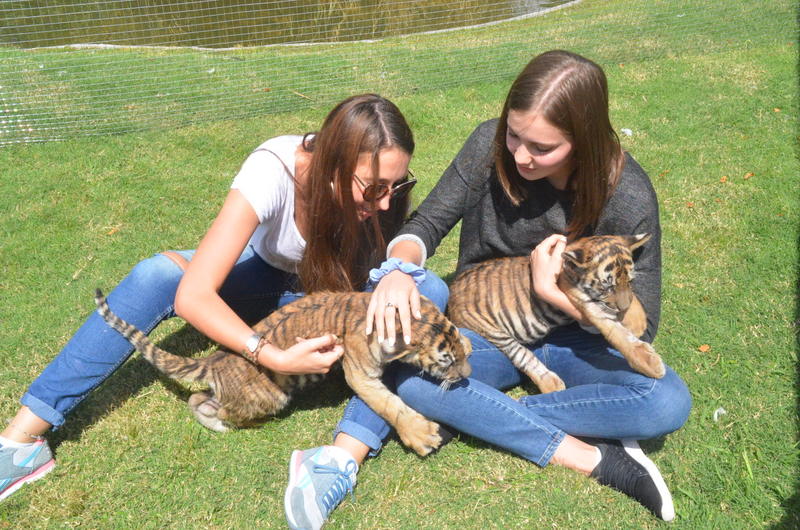 El Bioparque de Durazno tiene varios ejemplares de animales. Foto: Víctor Darwin Rodríguez