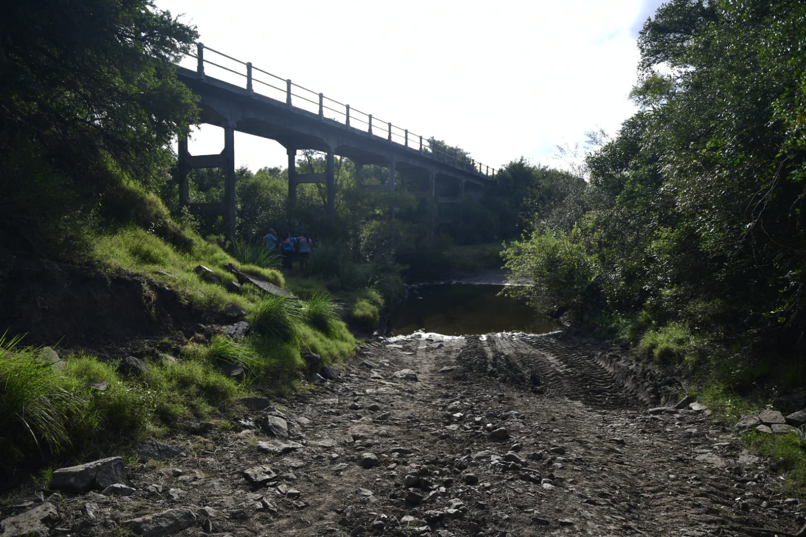 Familiares y amigos de la mujer desaparecida buscan en la zona donde pareció el pantalón y la alfombra. Foto: Fernando Ponzetto.