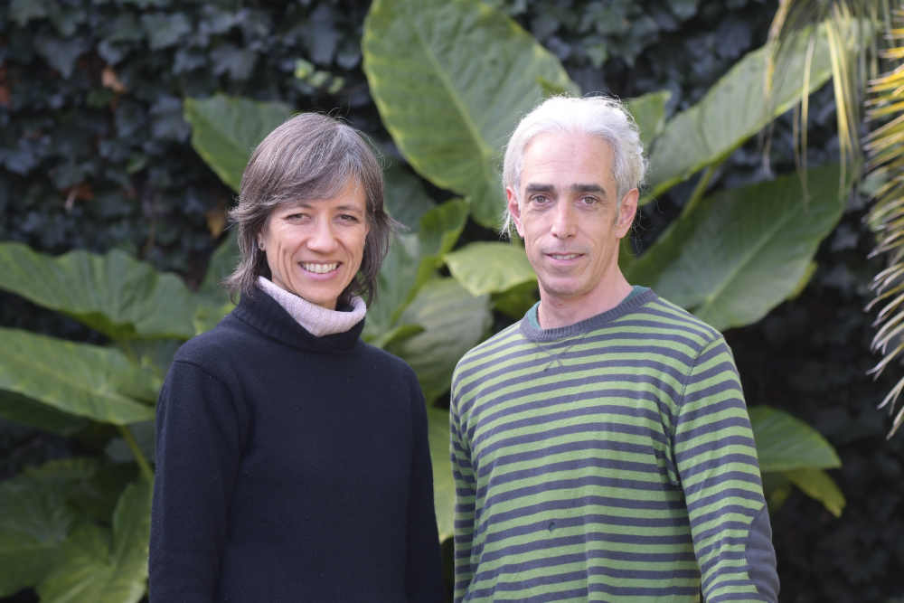 Chabela y Juan, docentes de DanceAbility