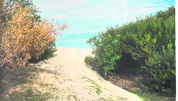 Expediente Lola Chomnalez