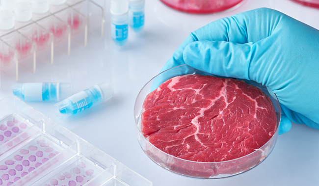 Carne artificial