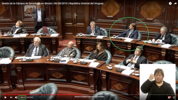 Captura de pantalla tomada del perfil de la Cámara de Senadores en YouTube el 7 de agosto de 2019