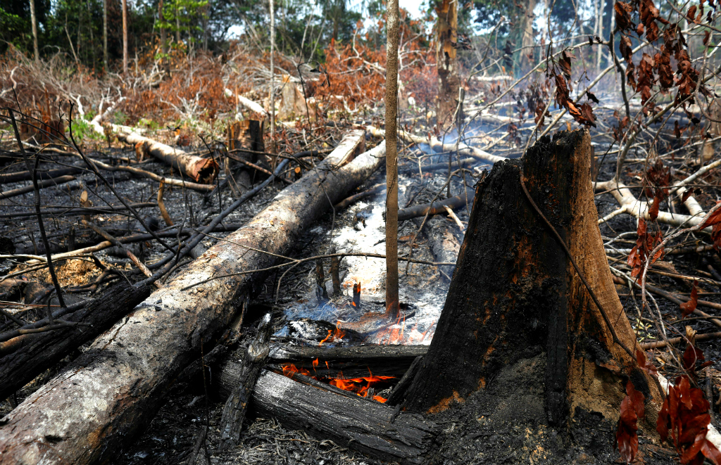 Una zona de la Amazonia devastada por los incendios forestales. Foto: Reuters