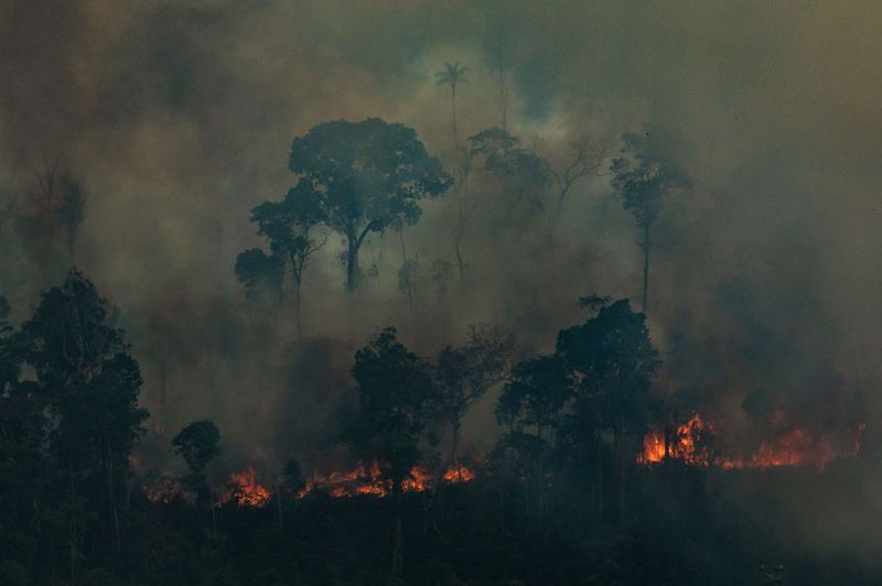 Amazonia. Foto: AFP.