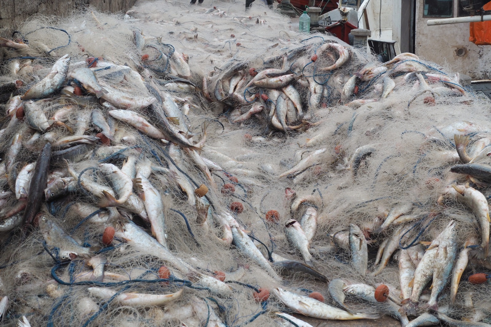 Pescadores en Punta del Este. Foto: Ricardo Figueredo.