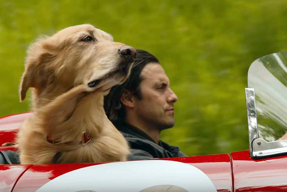 Mi amigo Enzo. Foto: Difusión