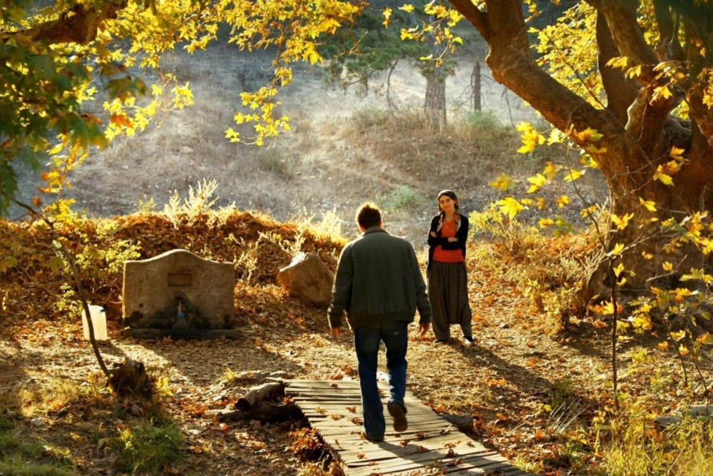 El arbol de peras silvestre