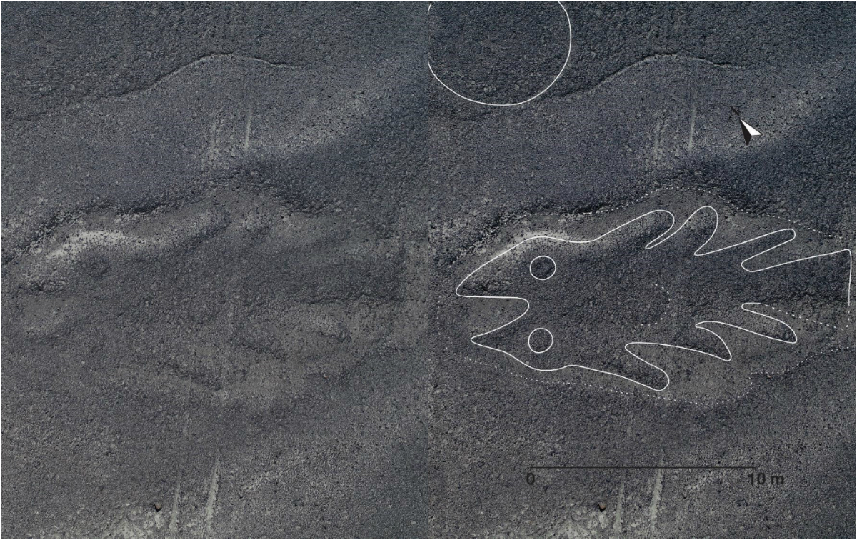 Figura de un pez. Foto: Universidad de Yamagata