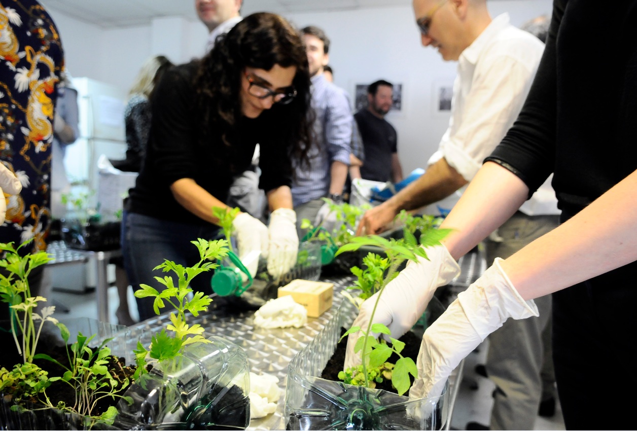 Laura Rosano Inspira