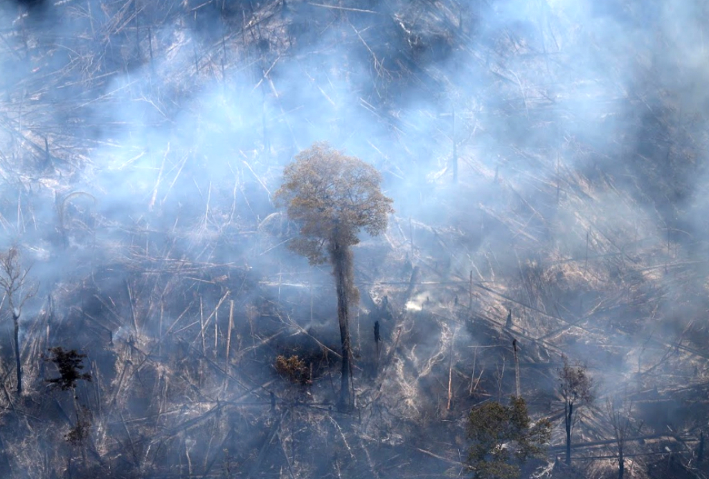 Incendios forestales en el Amazonia. Foto: Reuters