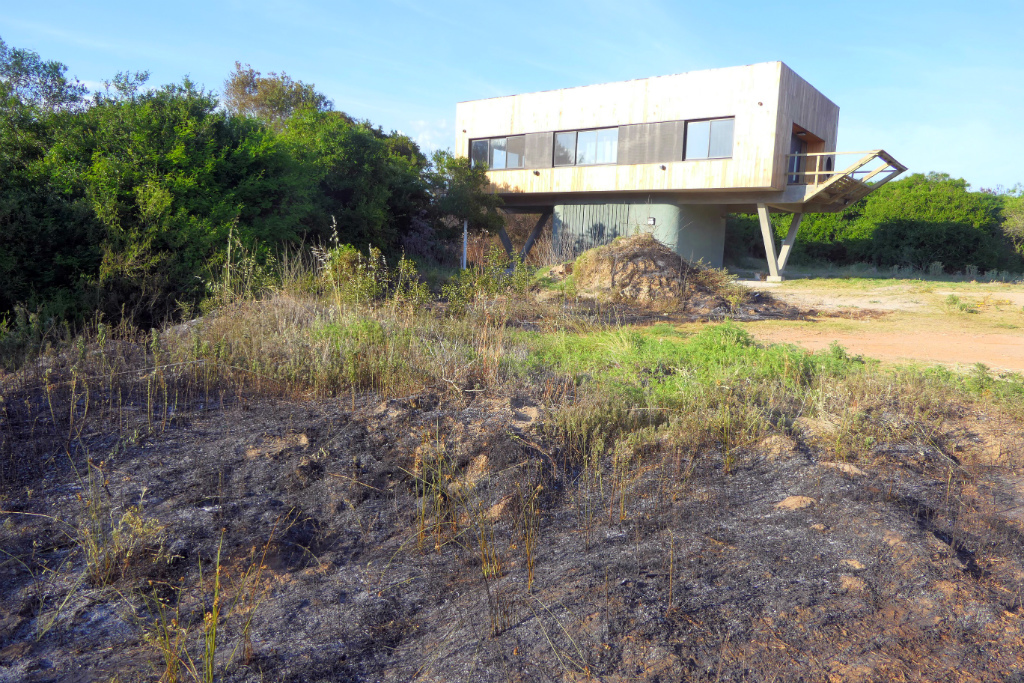 Área afectada por el incendio en Santa Isabel de La Pedrera. Foto: Ricardo Figueredo