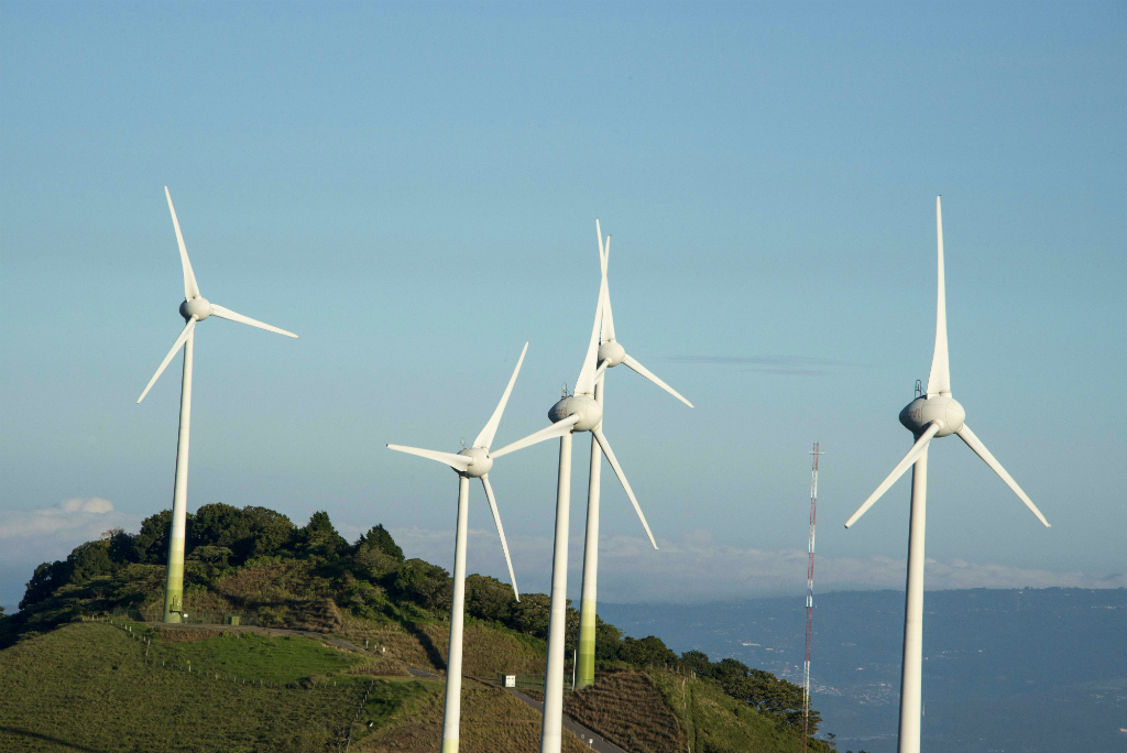 Parque de energía eólica. Foto: AFP