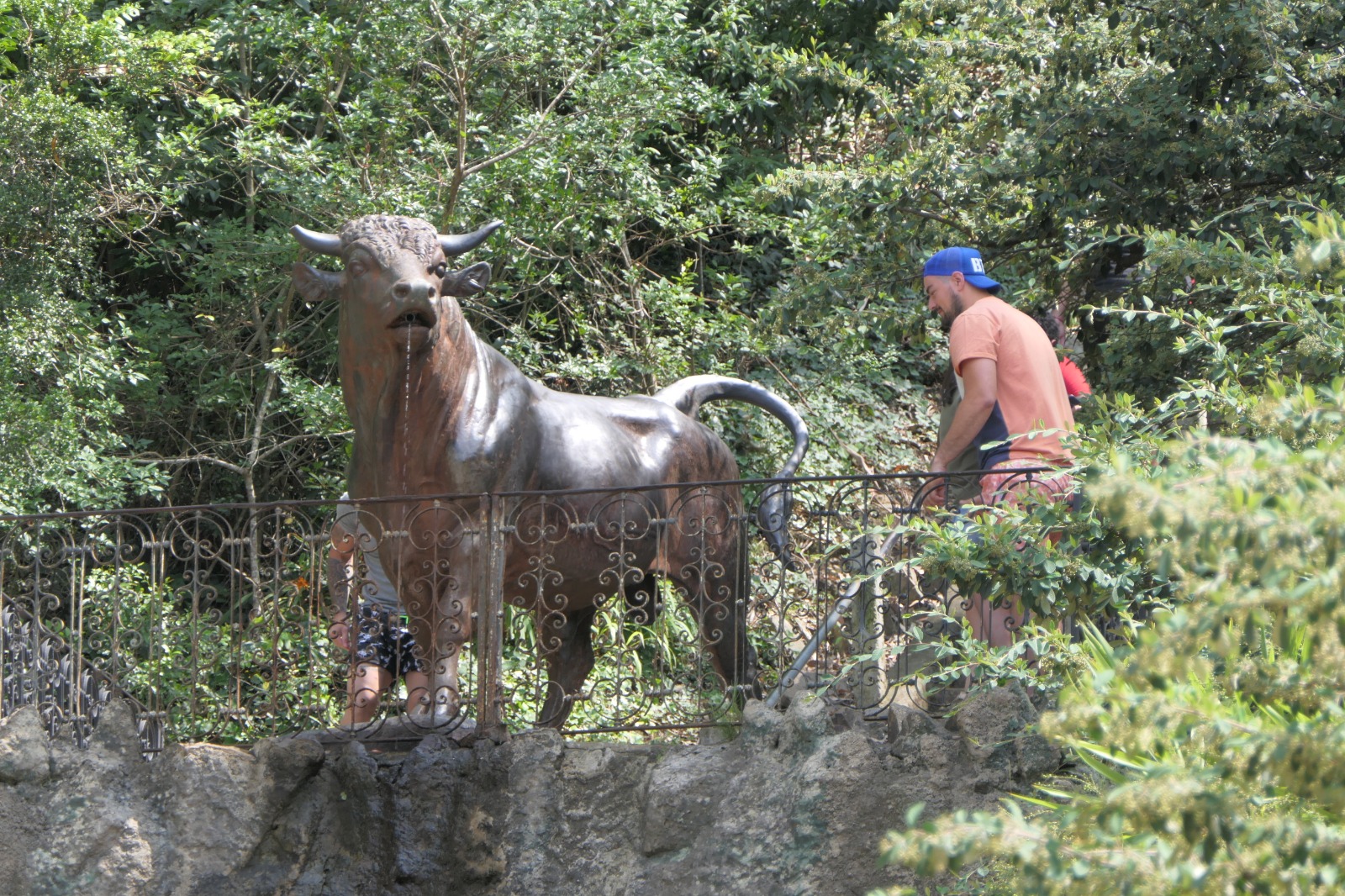 Cerro del Toro. Foto: Ricardo Figueredo