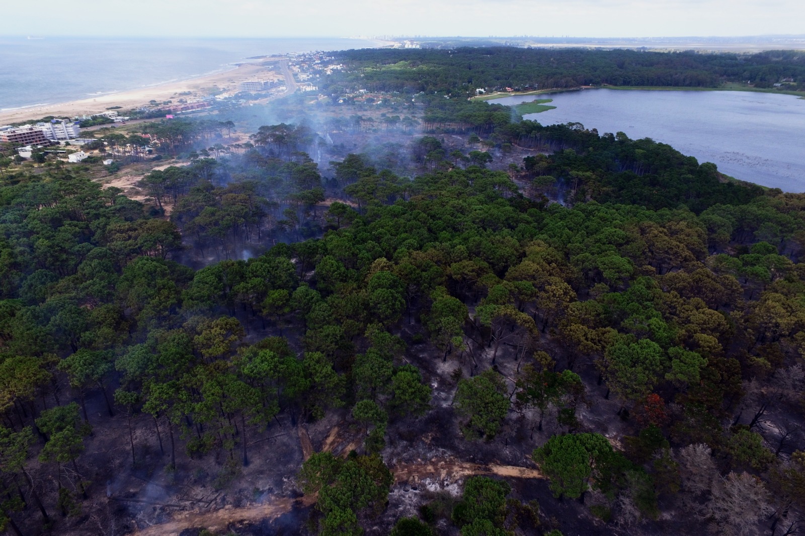 Así quedó la zona afectada de Manantiales tras incendio. Foto: Ricardo Figueredo.