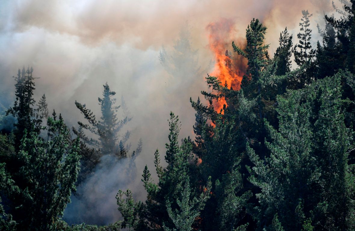 Laboratorio de coca en el predio del embajador Fernando Sanclemente. Foto: AFP.