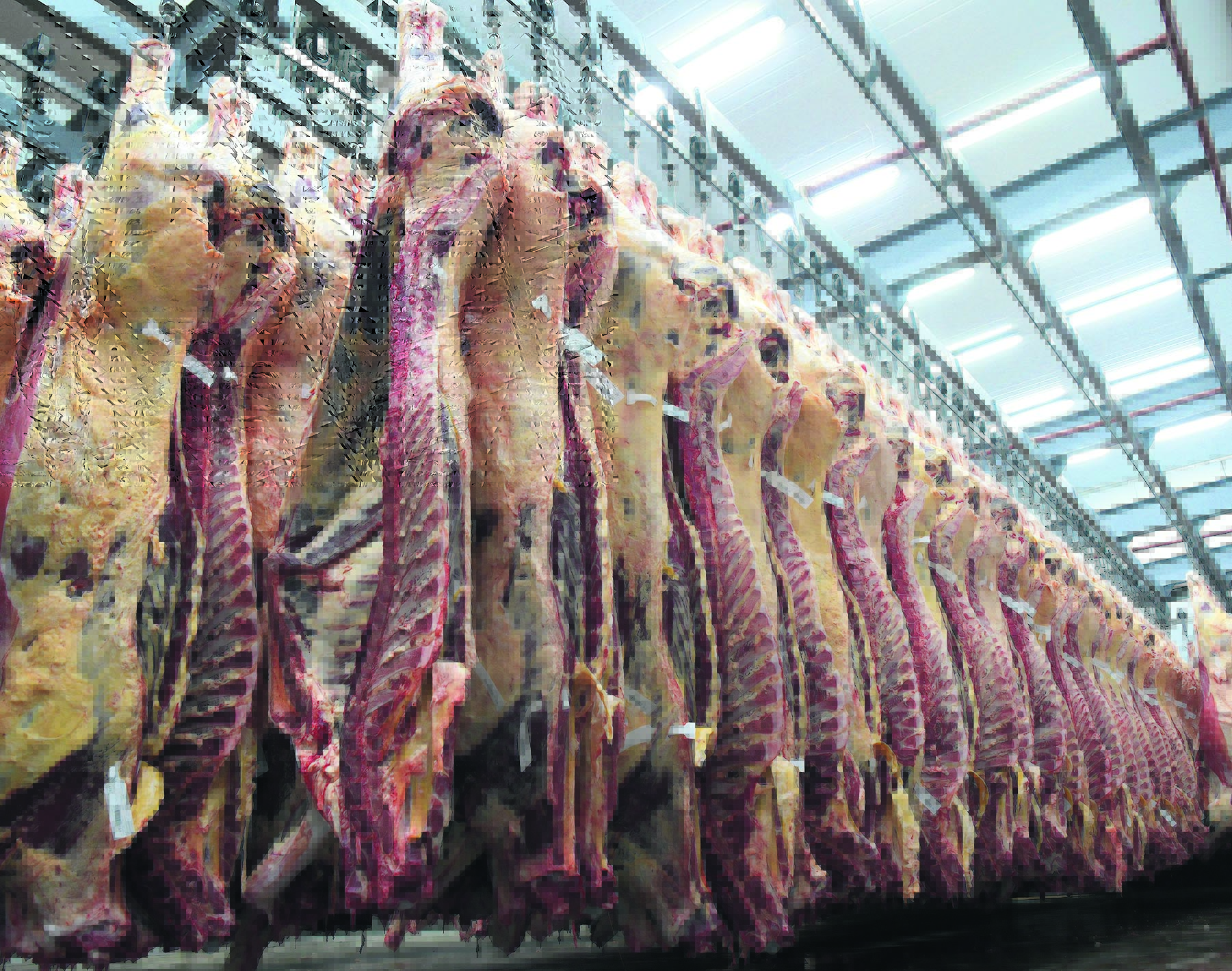 Carne bovina. Foto: Archivo El País