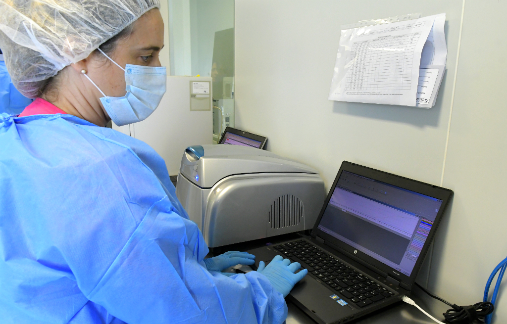 En un kit de diagnóstico se amplifica el material genético, durante dos horas, y se obtiene el resultado: si hay una curva ascendente es "positivo". Foto: Leonardo Mainé