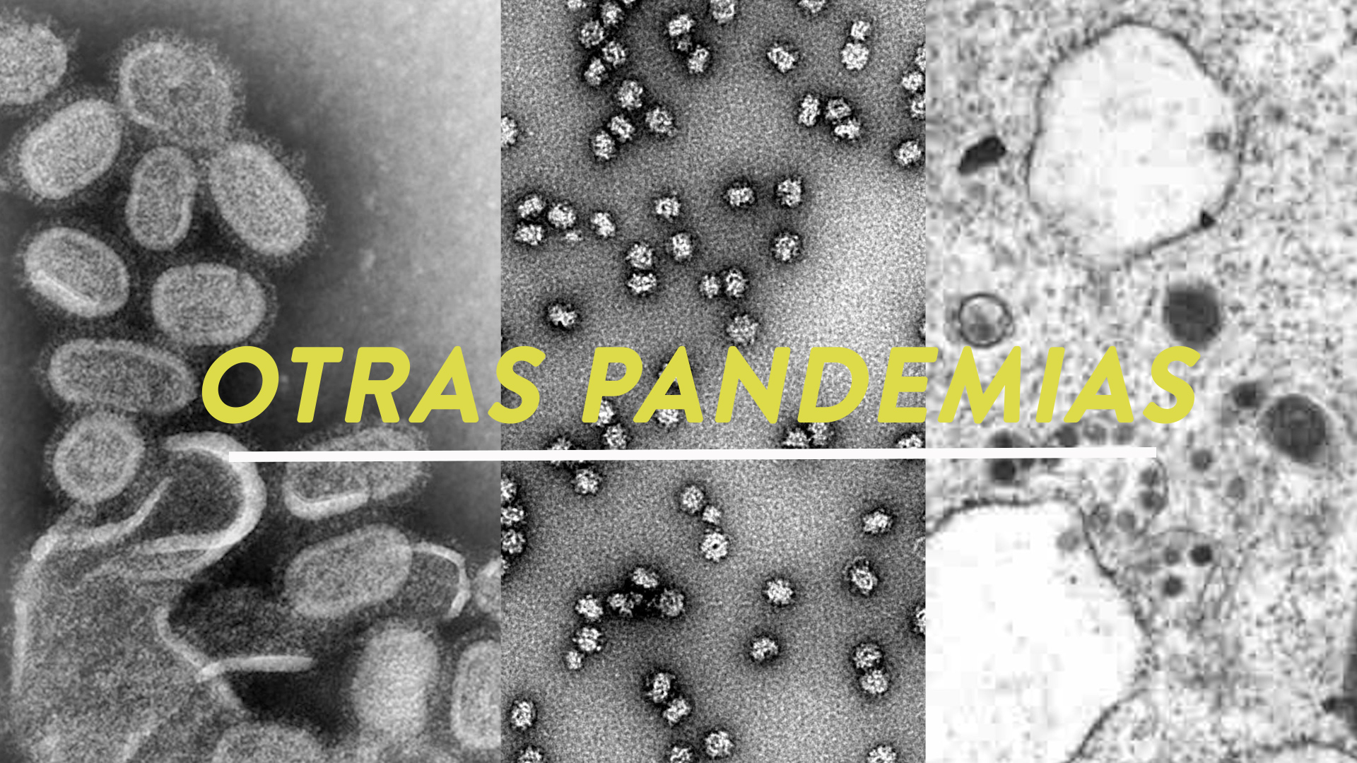 Las pandemias a lo largo de la historia. Foto: Faustina Bartaburu