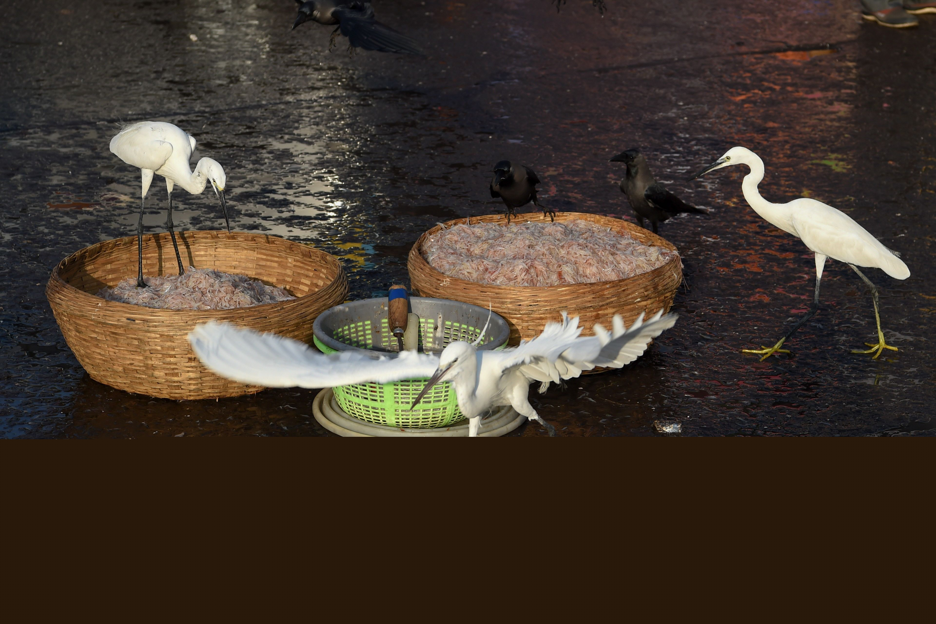 Garcetas en Mumbai, India. Foto: AFP