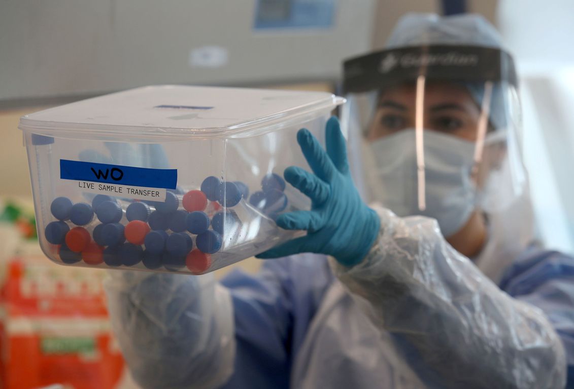 Coronavirus. Foto: AFP.