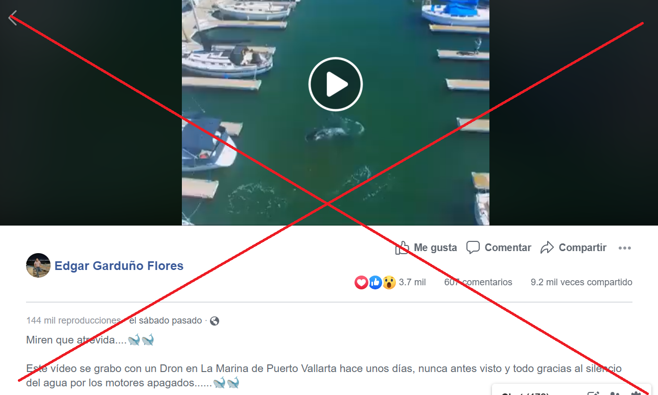 Ballena AFP Factchecking.