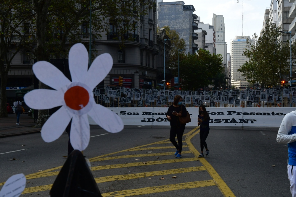 Varios voluntarios colocaron margaritas en diferentes partes de la ciudad. Foto: Francisco Flores.
