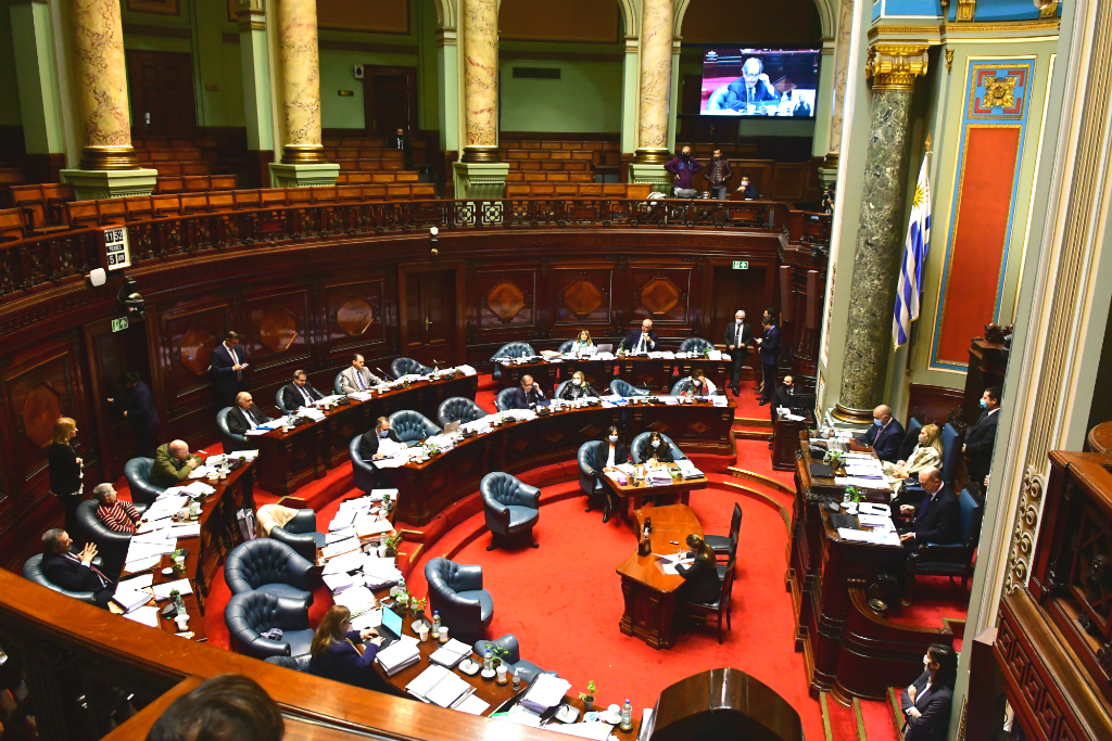 Sesión de la Cámara de Senadores. Foto: Francisco Flores