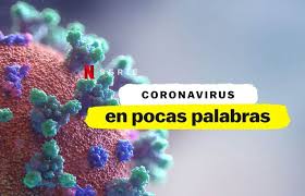 Tres episodios de "En pocas palabras" explican interrogantes acerca del Coronavirus. Foto: Difusión